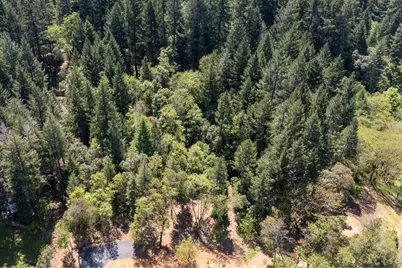 847 Caves Highway, Cave Junction, OR 97523 - Photo 3