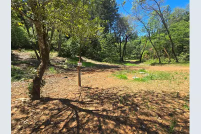 847 Caves Highway, Cave Junction, OR 97523 - Photo 7