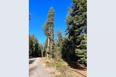 0 Rocky Point Road, Klamath Falls, OR 97601 - Photo 9