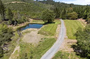 2573 Reeves Creek Rd, Selma, OR 97538 - Photo 29