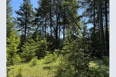 1522 Bridge Lane, Wolf Creek, OR 97497 - Photo 1
