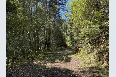 1522 Bridge Lane, Wolf Creek, OR 97497 - Photo 3