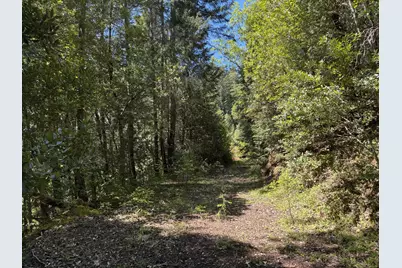 1522 Bridge Lane, Wolf Creek, OR 97497 - Photo 15