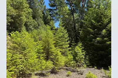 1522 Bridge Lane, Wolf Creek, OR 97497 - Photo 17