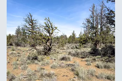 67372 Harrington Loop Road, Bend, OR 97703 - Photo 19