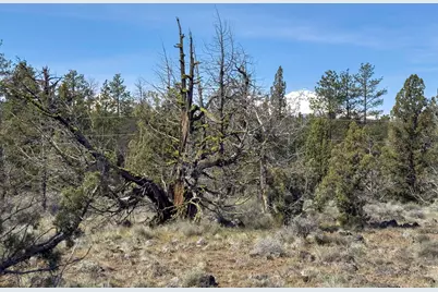 67372 Harrington Loop Road, Bend, OR 97703 - Photo 15