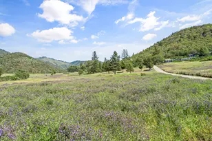 1050 Humbug Creek Rd, Applegate, OR 97530 - Photo 47