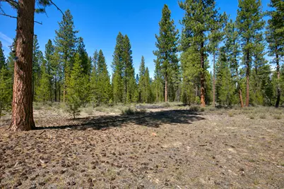 50750 Deer Forest Drive, La Pine, OR 97739 - Photo 15
