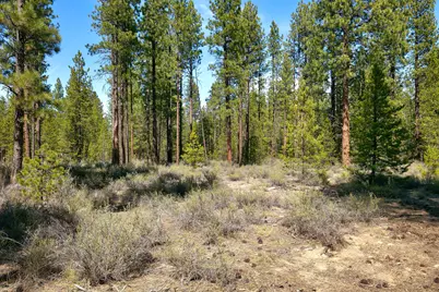 50750 Deer Forest Drive, La Pine, OR 97739 - Photo 3