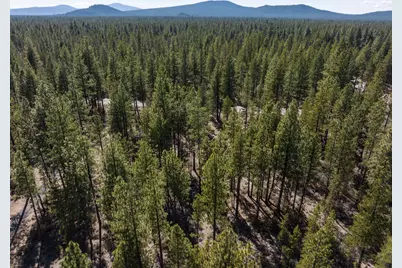 50750 Deer Forest Drive, La Pine, OR 97739 - Photo 19