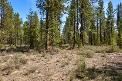 50750 Deer Forest Drive, La Pine, OR 97739 - Photo 17