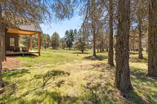 1168 Paper Birch Wy, Klamath Falls, OR 97601 - Photo 41
