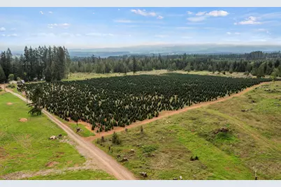 25402 S Schockley Road, Beavercreek, OR 97004 - Photo 3