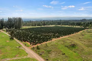 25402 S Schockley Rd, Beavercreek, OR 97004 - Photo 3