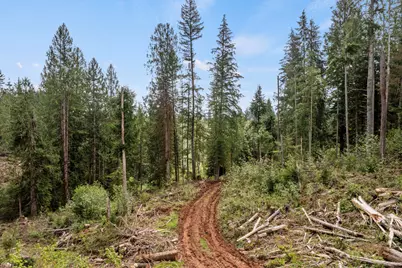 25402 S Schockley Road, Beavercreek, OR 97004 - Photo 5