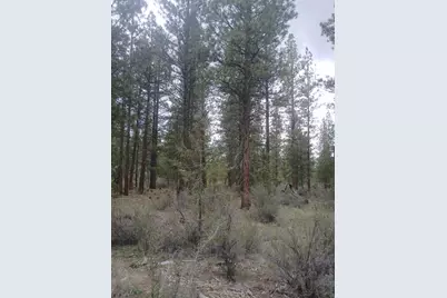 0 Tableland Road, Chiloquin, OR 97624 - Photo 3