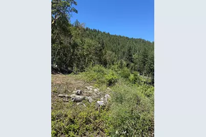 0 Savage Creek #TL400, Grants Pass, OR 97527 - Photo 13