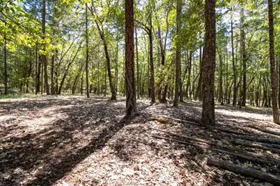 1801 Holton Creek Road, Cave Junction, OR 97523 - Photo 43