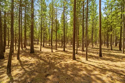 51986 Black Pine Way, La Pine, OR 97739 - Photo 11