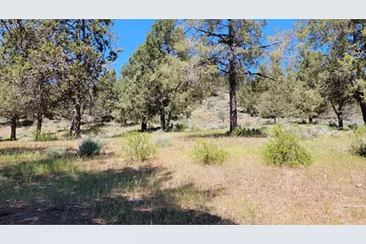 0 Murrelet Road #Lot 1196, Klamath Falls, OR 97601 - Photo 3