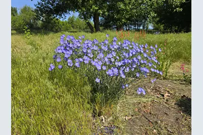 32158 Modoc Point Road, Chiloquin, OR 97624 - Photo 29
