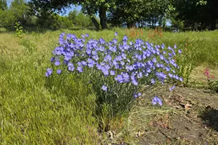 32158 Modoc Point Rd, Chiloquin, OR 97624 - Photo 29