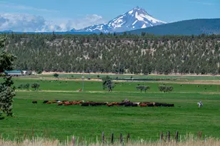 71285 Holmes Rd, Sisters, OR 97759 - Photo 95