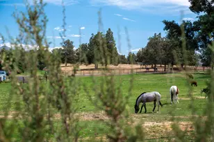 71275 Holmes Rd, Sisters, OR 97759 - Photo 129