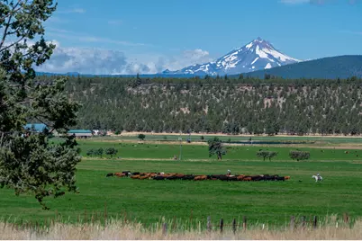 71275 Holmes Road, Sisters, OR 97759 - Photo 9