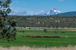 71275 Holmes Rd, Sisters, OR 97759 - Photo 9