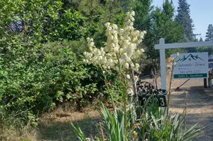 2323 NE 8th St, Bend, OR 97701 - Photo 15