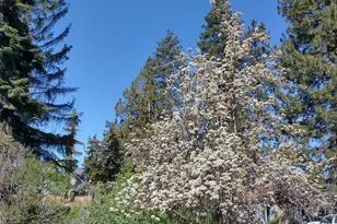 2323 NE 8th St, Bend, OR 97701 - Photo 31