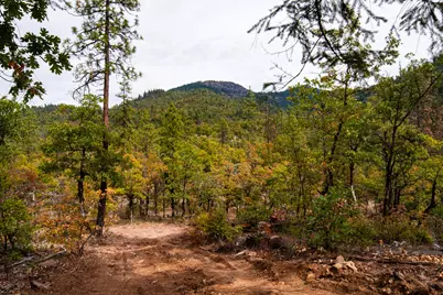 3860 Highway 227, Trail, OR 97541 - Photo 9