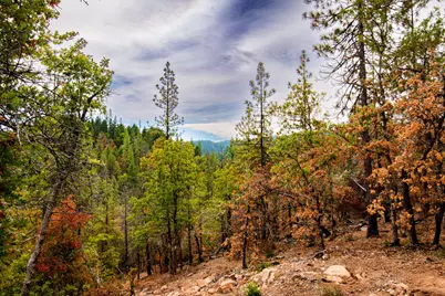 3860 Highway 227, Trail, OR 97541 - Photo 15
