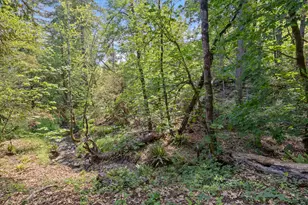 4280 Lower Wolf Creek Rd, Wolf Creek, OR 97497 - Photo 27