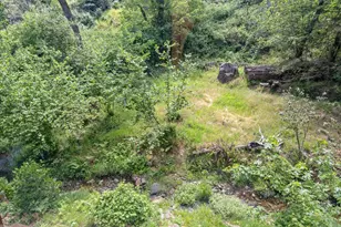 4280 Lower Wolf Creek Rd, Wolf Creek, OR 97497 - Photo 19