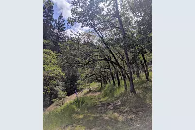 3315 Sardine Creek Road, Gold Hill, OR 97525 - Photo 39