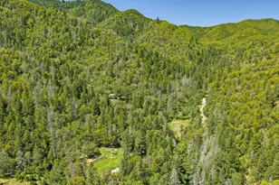 3315 Sardine Creek Rd, Gold Hill, OR 97525 - Photo 3