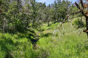 3315 Sardine Creek Rd, Gold Hill, OR 97525 - Photo 37