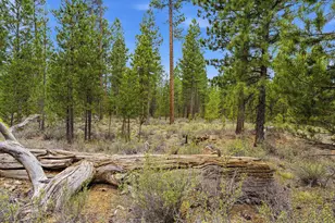 51795 Pine Loop Dr, La Pine, OR 97739 - Photo 25