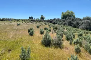 93300 Pike Ln, Lakeview, OR 97630 - Photo 41