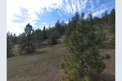 420 Tycer Crossing, Cave Junction, OR 97523 - Photo 7