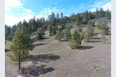 420 Tycer Crossing, Cave Junction, OR 97523 - Photo 1