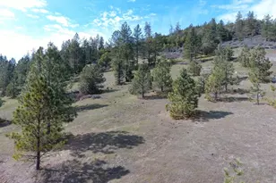 420 Tycer Crossing, Cave Junction, OR 97523 - Photo 1