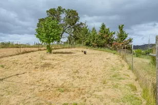 9114 Old Hwy 99 S, Winston, OR 97496 - Photo 61