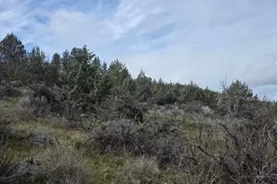 78902 Walters Rd, Maupin, OR 97037 - Photo 51