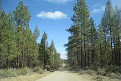 0 Pheasant Lane #16, Chiloquin, OR 97624 - Photo 3