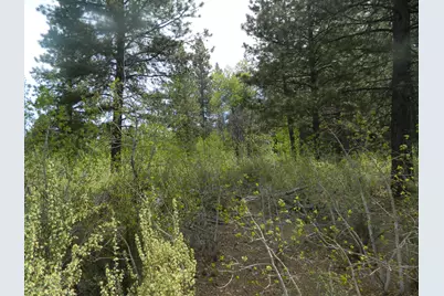 200 Highway 422 N, Chiloquin, OR 97624 - Photo 3