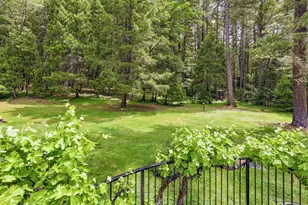 985 Elliott Creek Rd, Wilderville, OR 97543 - Photo 59