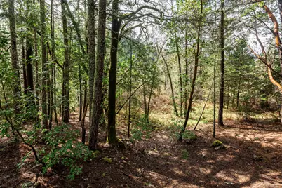 3866 Placer Road, Wolf Creek, OR 97497 - Photo 31